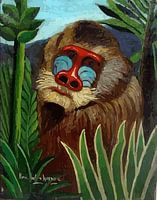 Henri Julien Rousseau Mandrill dans la jungle Henri Rousseau