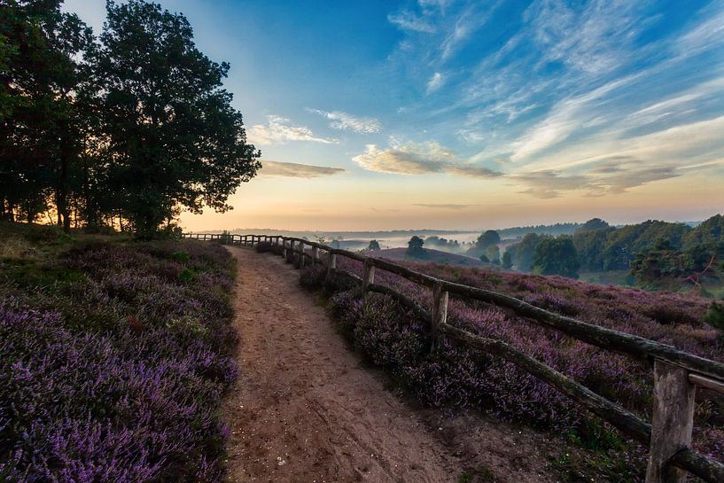 Posbank - Nederland par Roy Poots