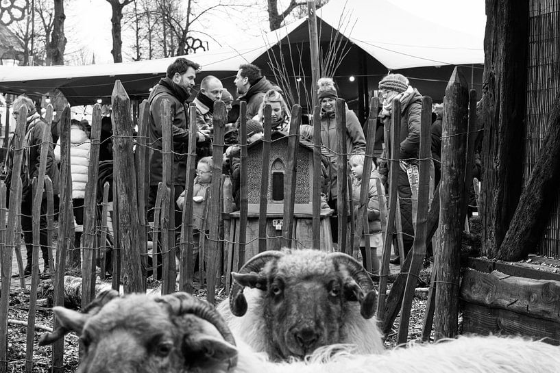 Weihnachtsmarkt Eersel von Jos Bonninga
