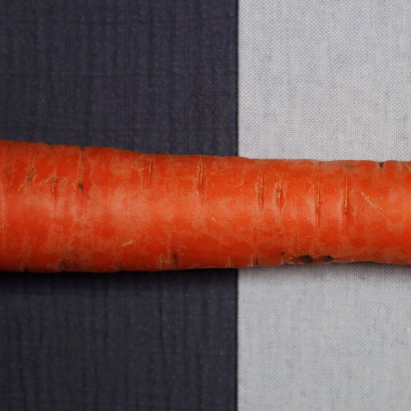 Karotte auf Taupe und Beige von ellenklikt