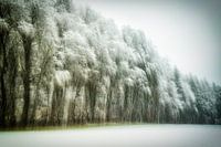 Winterlicher Waldrand abstrakt