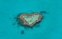 Heart Shaped Reef