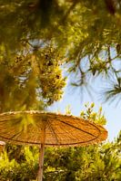 Hallo Sonnenschirm, hallo Urlaub!