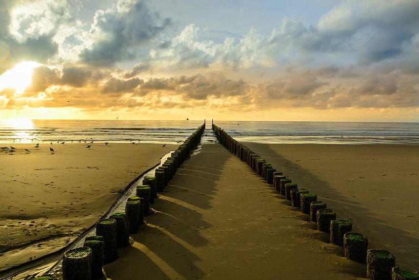 La plage de Domburg au soleil du soir par 7Horses Photography