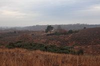 Landschaft bei der Posbank