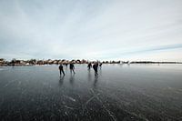 Nieuwkoopse Plassen in winter with ice