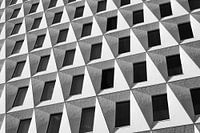 Composition in gray tones 1