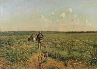 Quail Hunting with Pointing Dogs