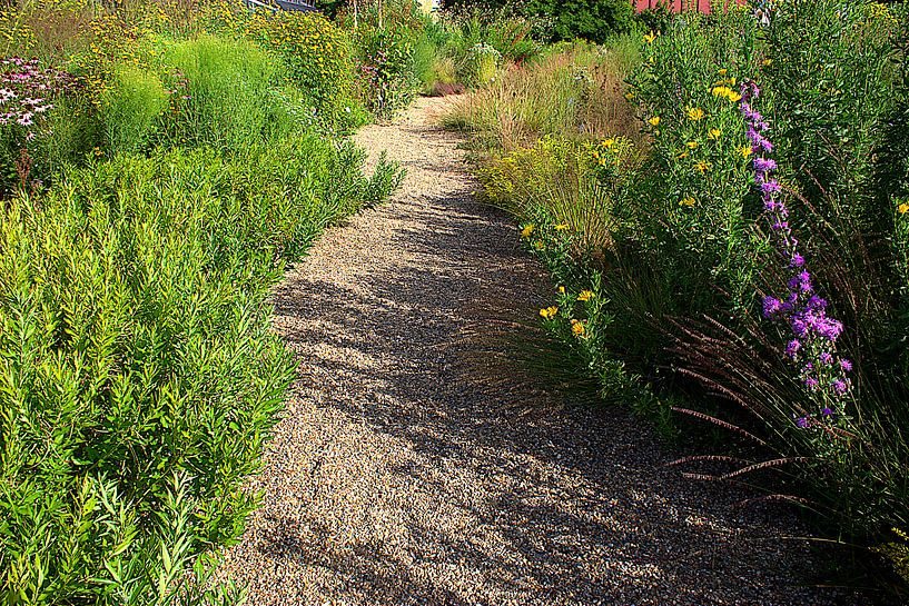 Verträumte Wege von Werner Hilpert