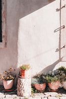 Terrakotta und Schattenspiel auf einer Mauer in Istrien
