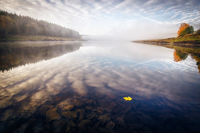 Gelbes Blatt auf dem Wasser von Oliver Henze