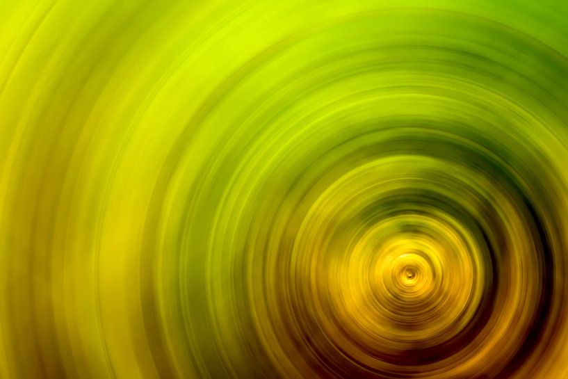 Cercles concentriques par Günter Albers