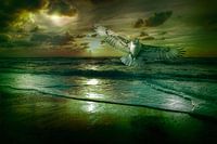 arend in een andere wereld-B