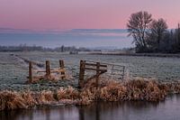 Wieland Onnerpolder mit reifem