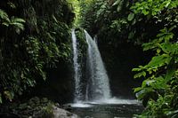 Chute d'eau sur la Dominique