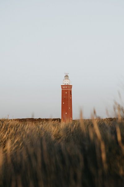 Winterliche Strandspaziergänge #3 von Elise van Gils