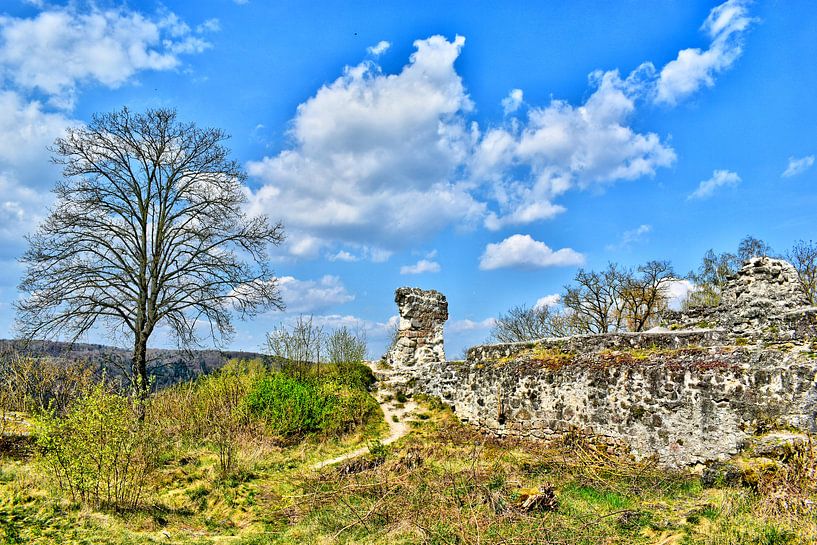 Kallmünz Castle Ruin by Roith Fotografie