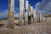 Strand von Zoutelande