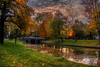 Maliesingel in autumn