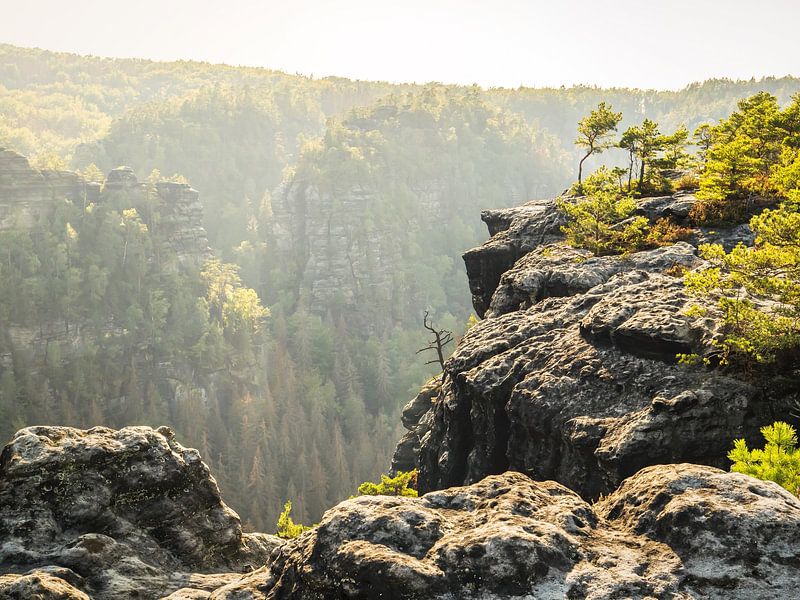 Bärenhorn view, Saxon Switzerland - Kleines Bärenhorn by Pixelwerk