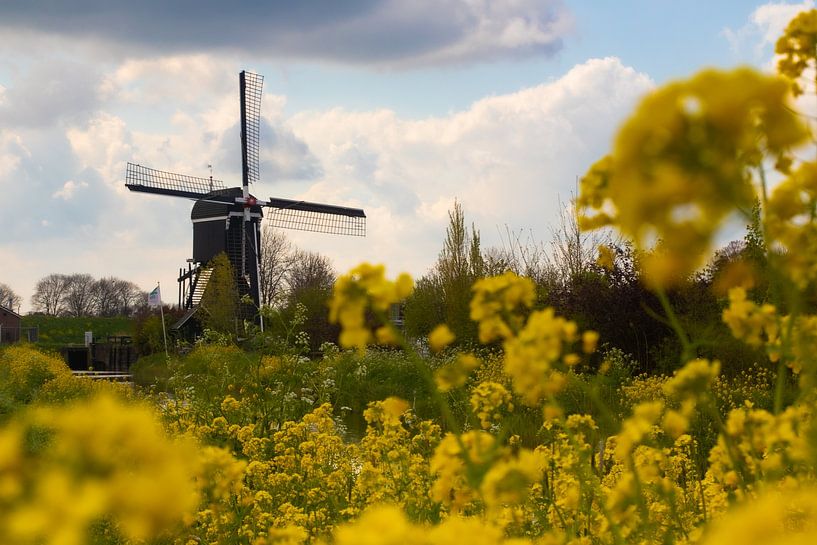 Mühle ter Leede, Leerdam von Nynke Altenburg