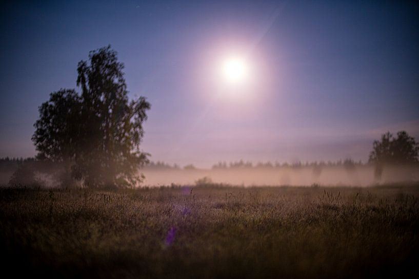 Veluwe at full moon, misty heather near ermelo, groevenbeek by John Ozguc