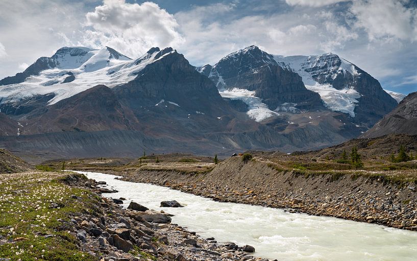 Bergpanorama, Jasper National Park, Rocky Mountains, Alberta, Kanada von Alexander Ludwig