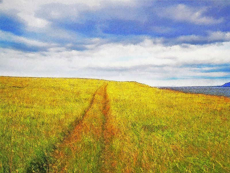 Panier pistes sur Videy, Islande par Frans Blok - des photos, de l'art et des autres décorations murales