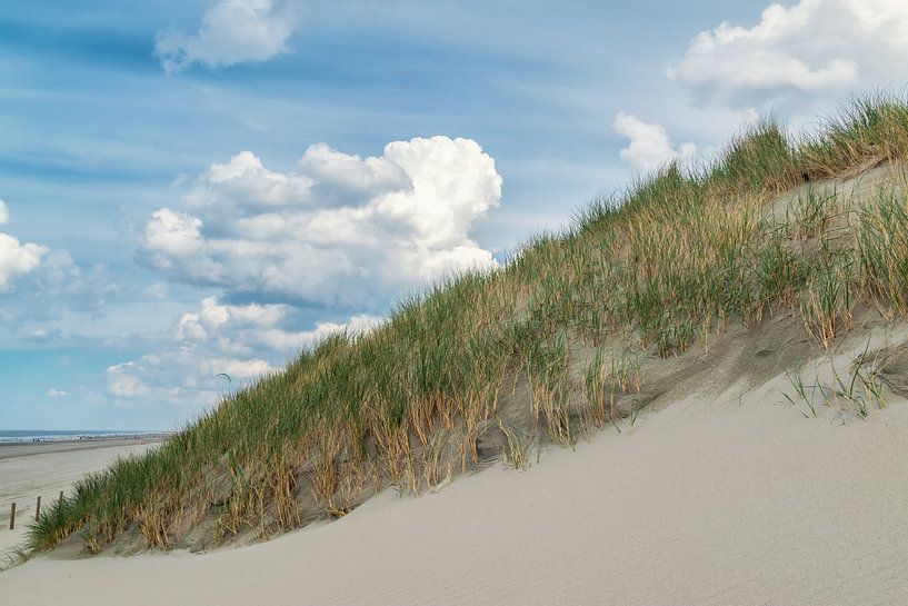 Paysage de dunes près de Hoek van Holland par Ilya Korzelius