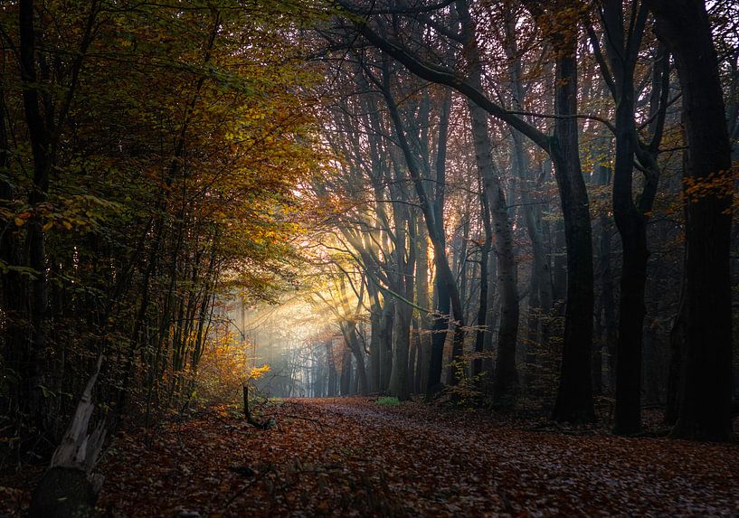 Sonnenaufgang von Verliefd op Utrecht