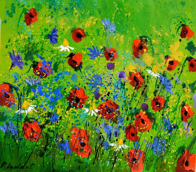 Blue cornflowers and redpoppies par pol ledent