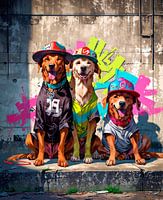 Three funny dogs in urban art clothing
