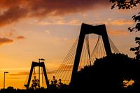 Willemsbrug Rotterdam.