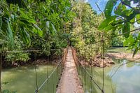 Hängebrücke Costa Rica