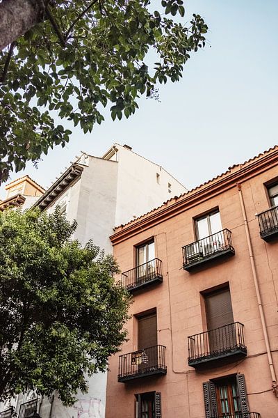 Bâtiment en terre cuite avec un arbre à Madrid, Espagne par Photo Atelier