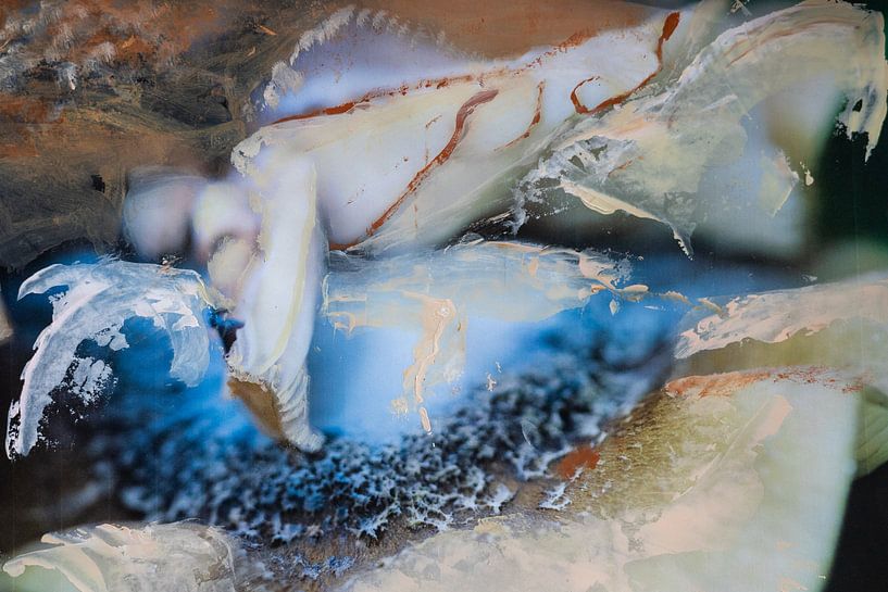 Champignon macro nature par Marly De Kok