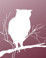 Uil op tak wit-donkerroze