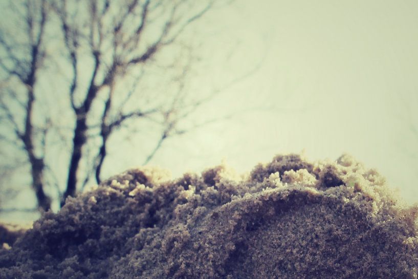 sandy landscape by Nynke Venema | knynk