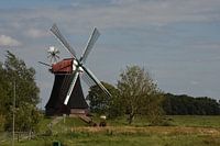 Moulin à vent Wynhamster Kolk