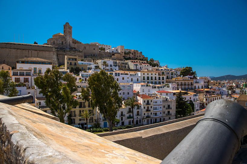 Blick auf Dalt Vila von Alexander Wolff