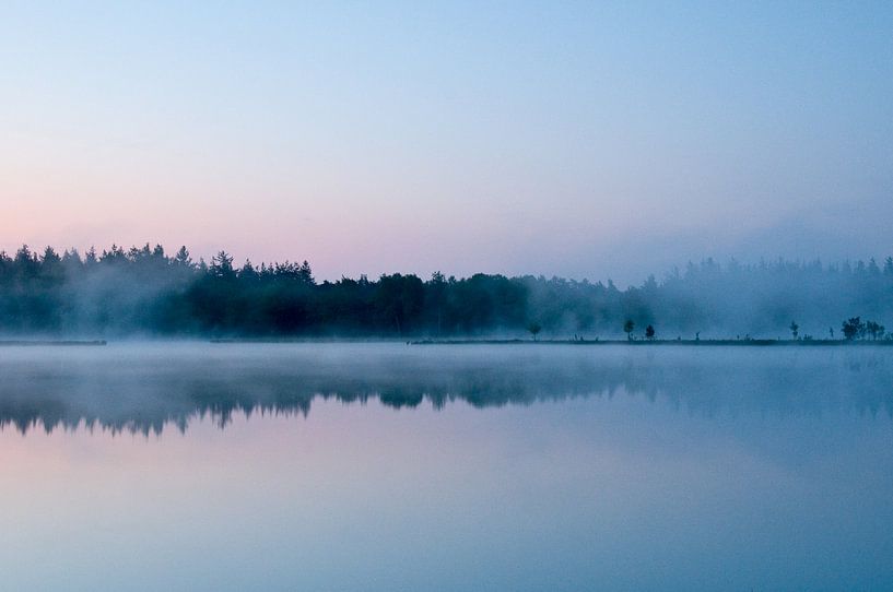 Reflets peints II par Andrea Gulickx