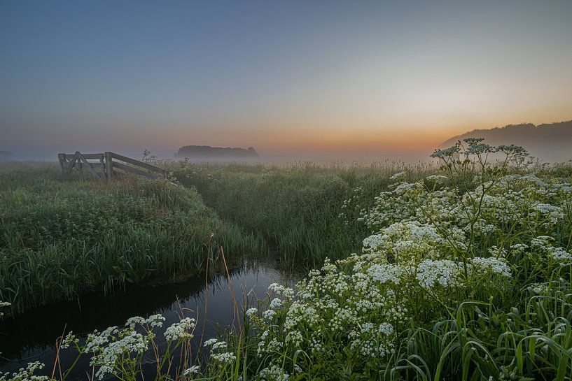 Siffleur dans le fossé avec vue sur la brume de Wieringen par Bram Lubbers