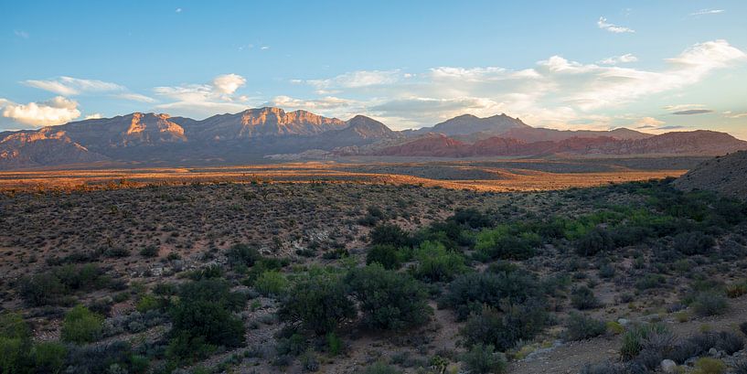 Red Rock Canyon - Las Vegas von Remco Bosshard