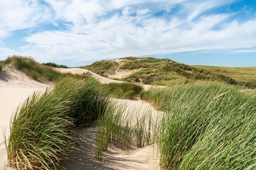 Enjoying the Dutch dunes by Rob Donders Beeldende kunst