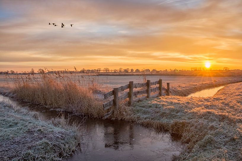 Sunrise in winter by Wim Kanis