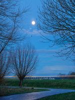 Lutjebroek-Morgenmond