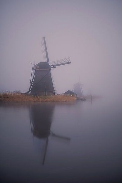Windmühlen am Kinderdijk von Rob Sprenger
