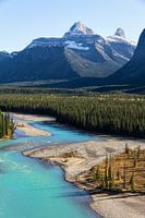 Icefield Parkway Parc national de Jasper