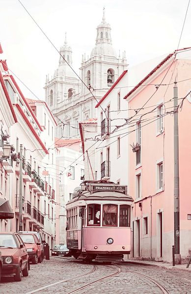 Pink Tram by David Potter