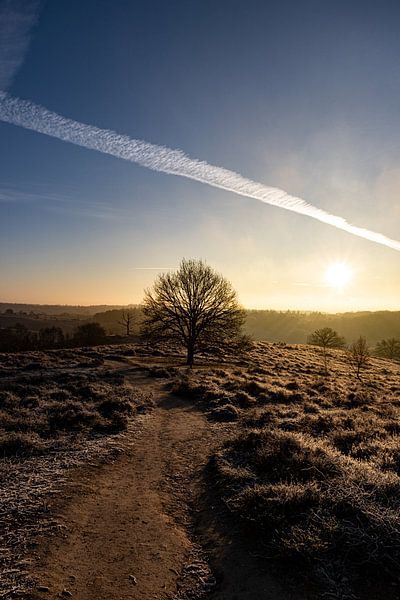 Lever du soleil par Koos de Vries